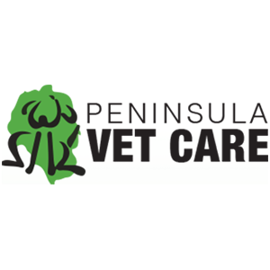 Peninsula Vet Care - Rye Beach | veterinary care | 27 Dundas St, Rye VIC 3941, Australia | 0359857011 OR +61 3 5985 7011