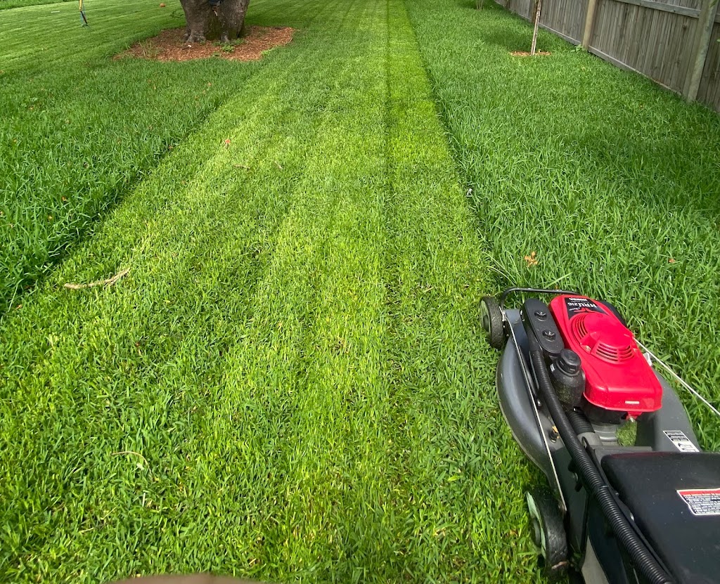 Winning Lawns | 23 Honey Pot Ave, Springfield Lakes QLD 4300, Australia | Phone: 0467 067 535