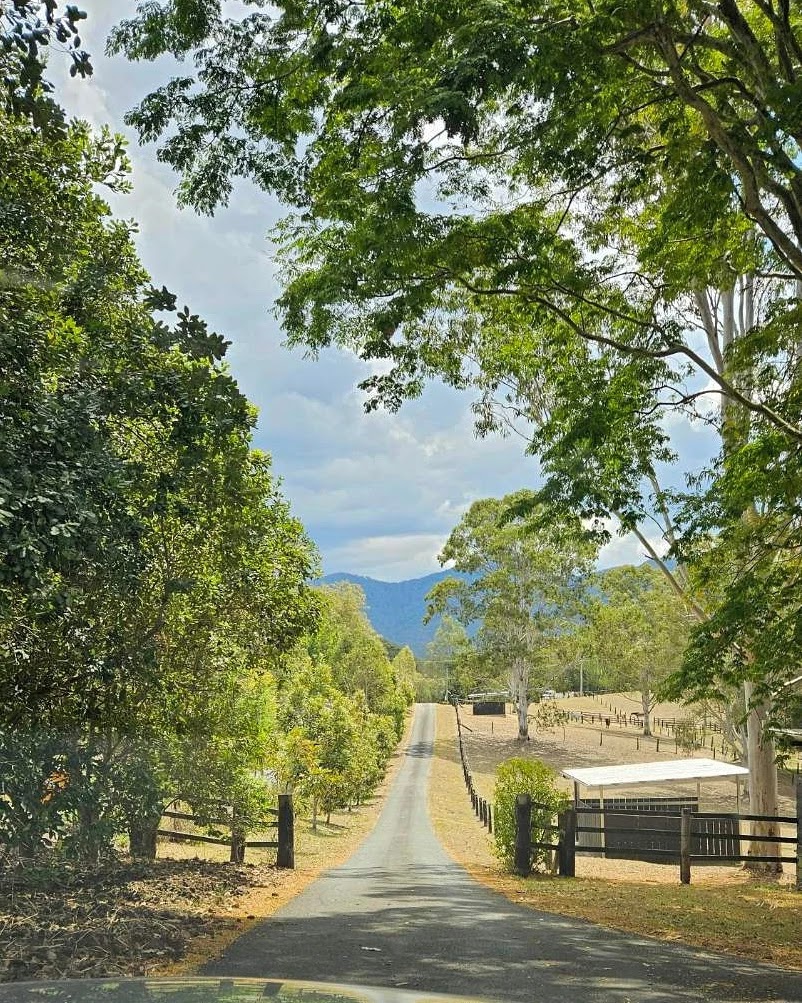 Life with Horses Limited | 45 Old Mount Samson Rd, Mount Samson QLD 4520, Australia | Phone: 0421 154 288