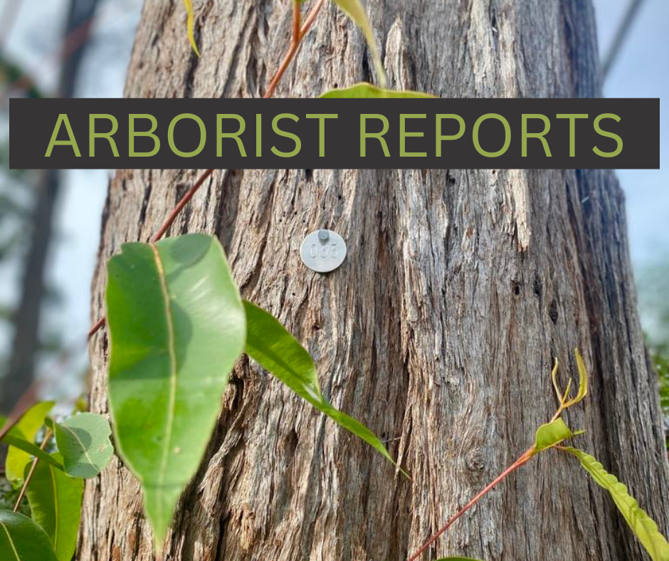 Urban Tree Care | Kula Rd, Medowie NSW 2318, Australia | Phone: 0435 502 951