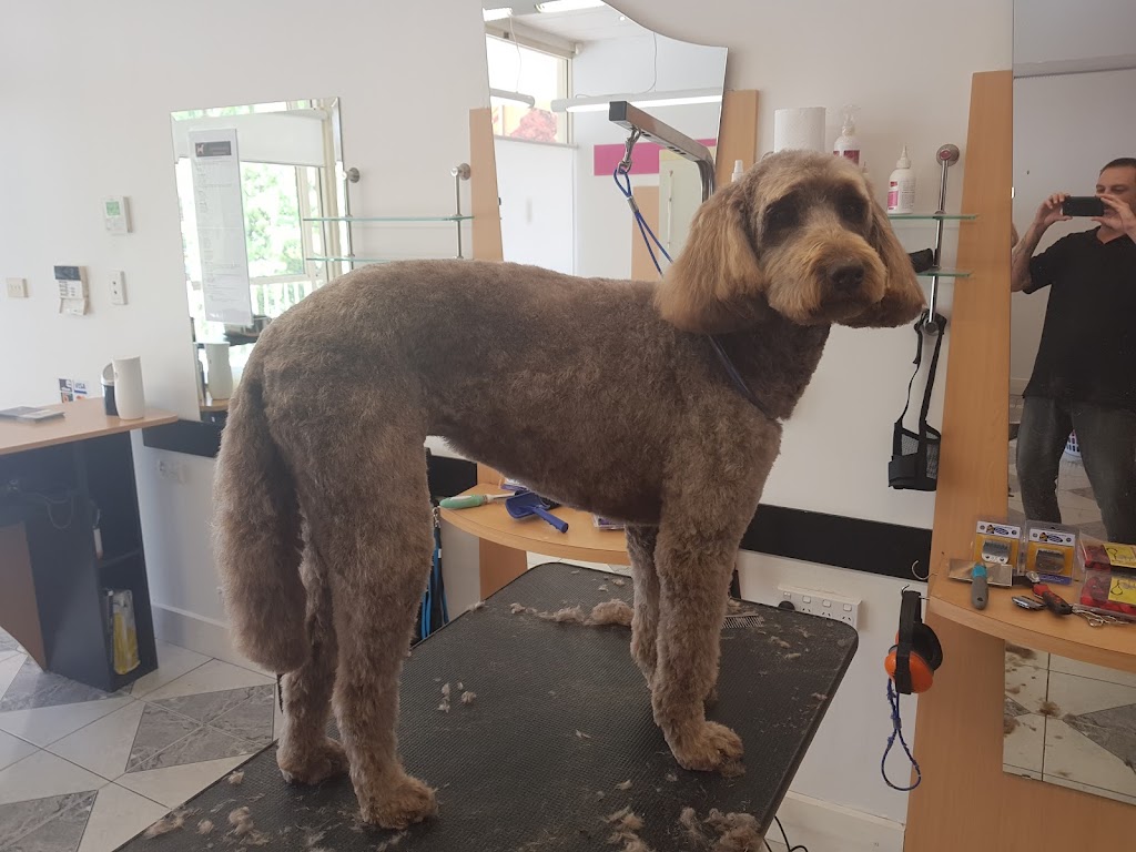 South Side Dog Grooming |  | 4/6 Farr Pl, Isaacs ACT 2607, Australia | 0412915984 OR +61 412 915 984