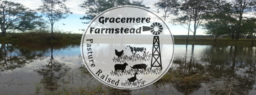 Gracemere Farmstead | 650 Fogwells Rd, Yorklea NSW 2470, Australia | Phone: 0481 827 808