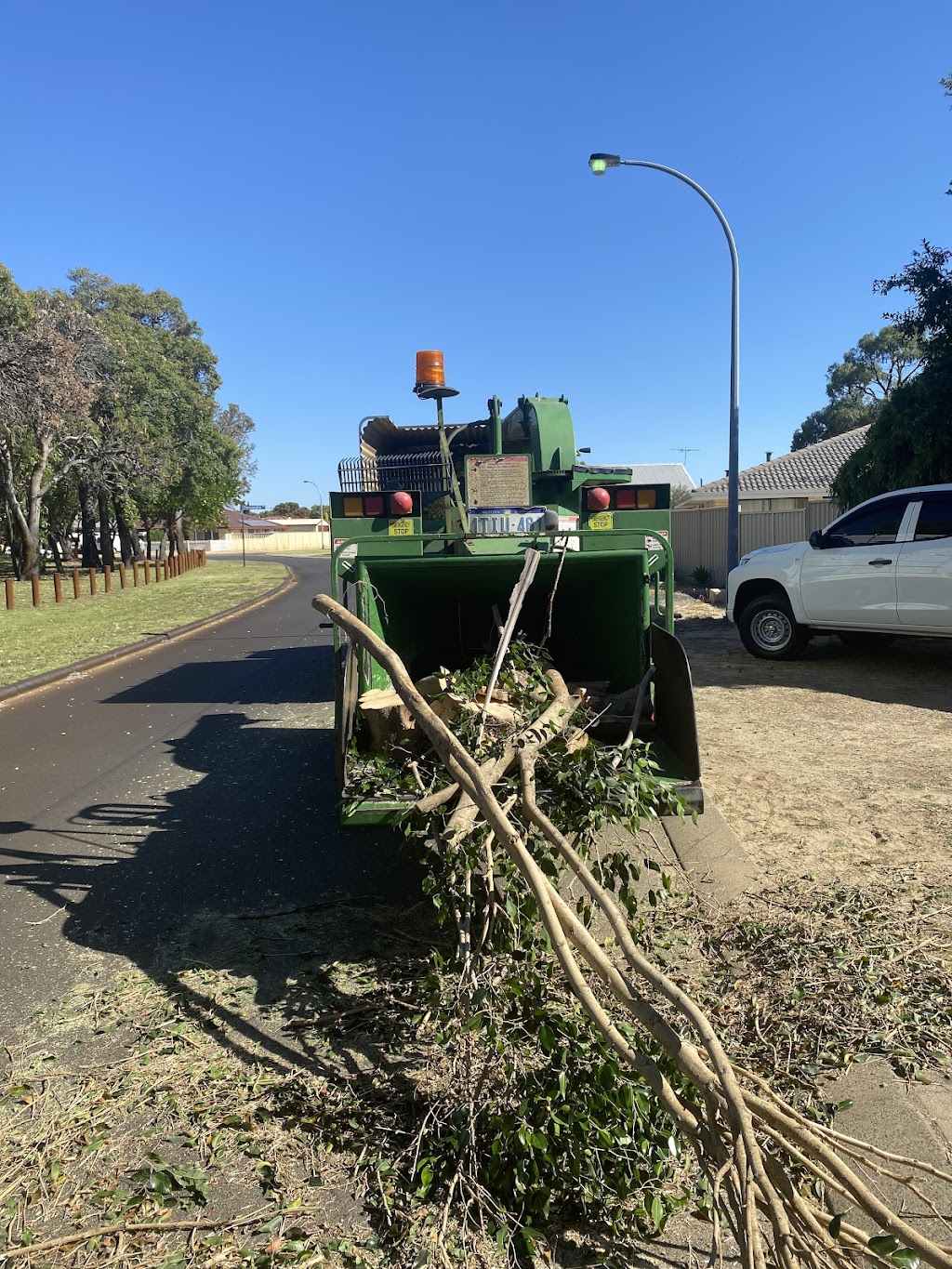 Capel tree service | 758 Ludlow-Hithergreen Rd, Ruabon WA 6280, Australia | Phone: 0457 509 430