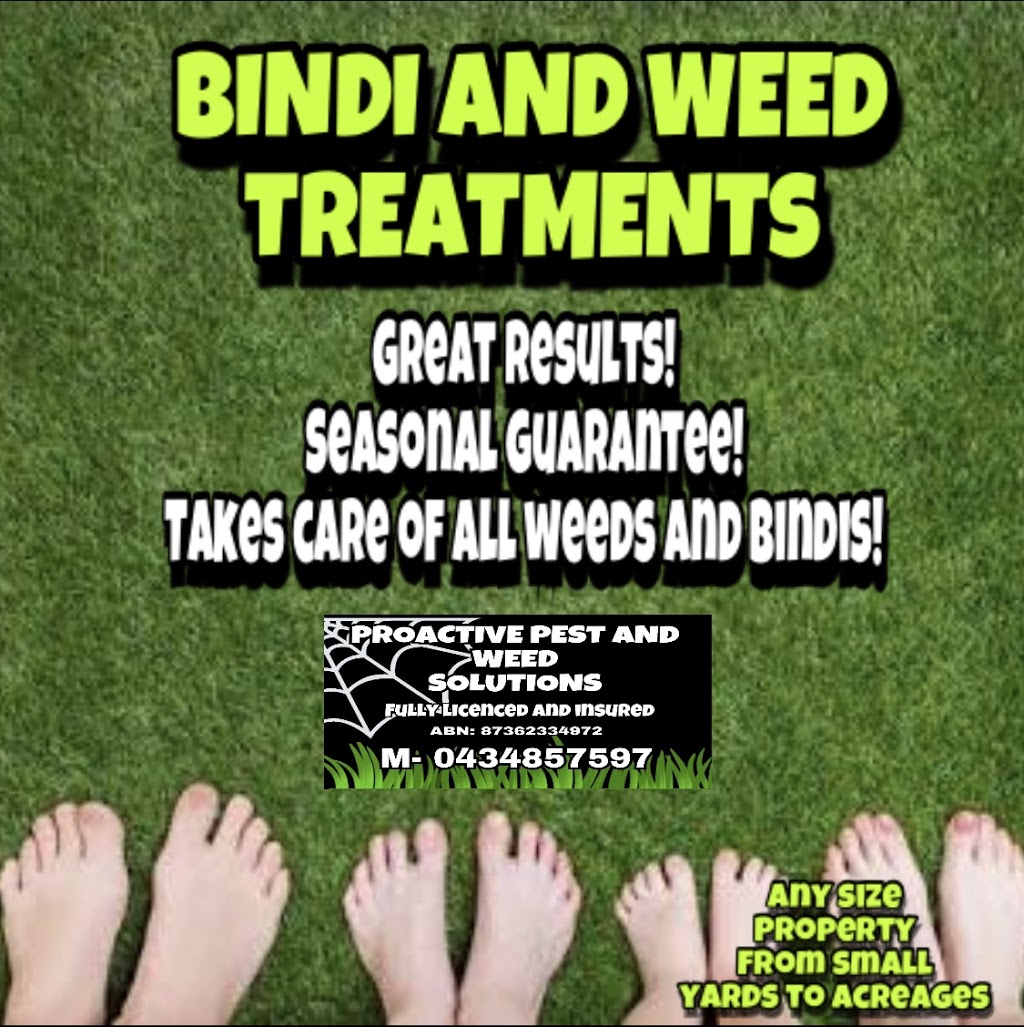 Proactive Pest And Weed Solutions | home goods store | 38 Macquarie Ave, Cessnock NSW 2325, Australia | 0434857597 OR +61 434 857 597