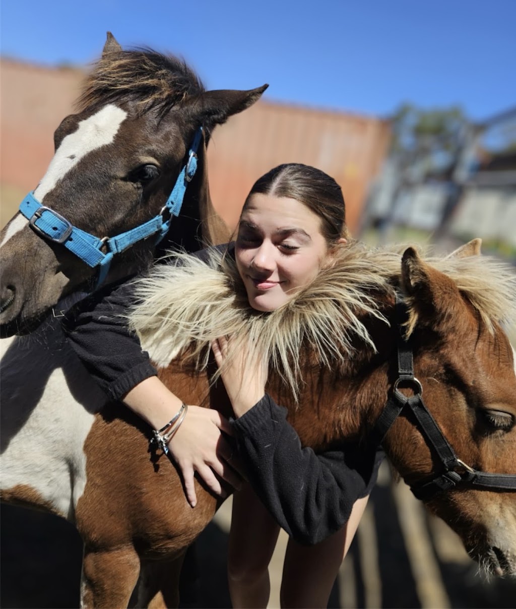 Jasper Equine Assisted Therapy and Counselling | 183 Craig Rd, Pearcedale VIC 3912, Australia | Phone: 0423 764 919