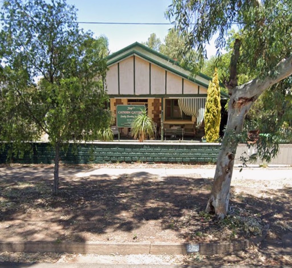 Catsden Cattery | 243 Williams St, Broken Hill NSW 2880, Australia | Phone: (08) 8087 7888