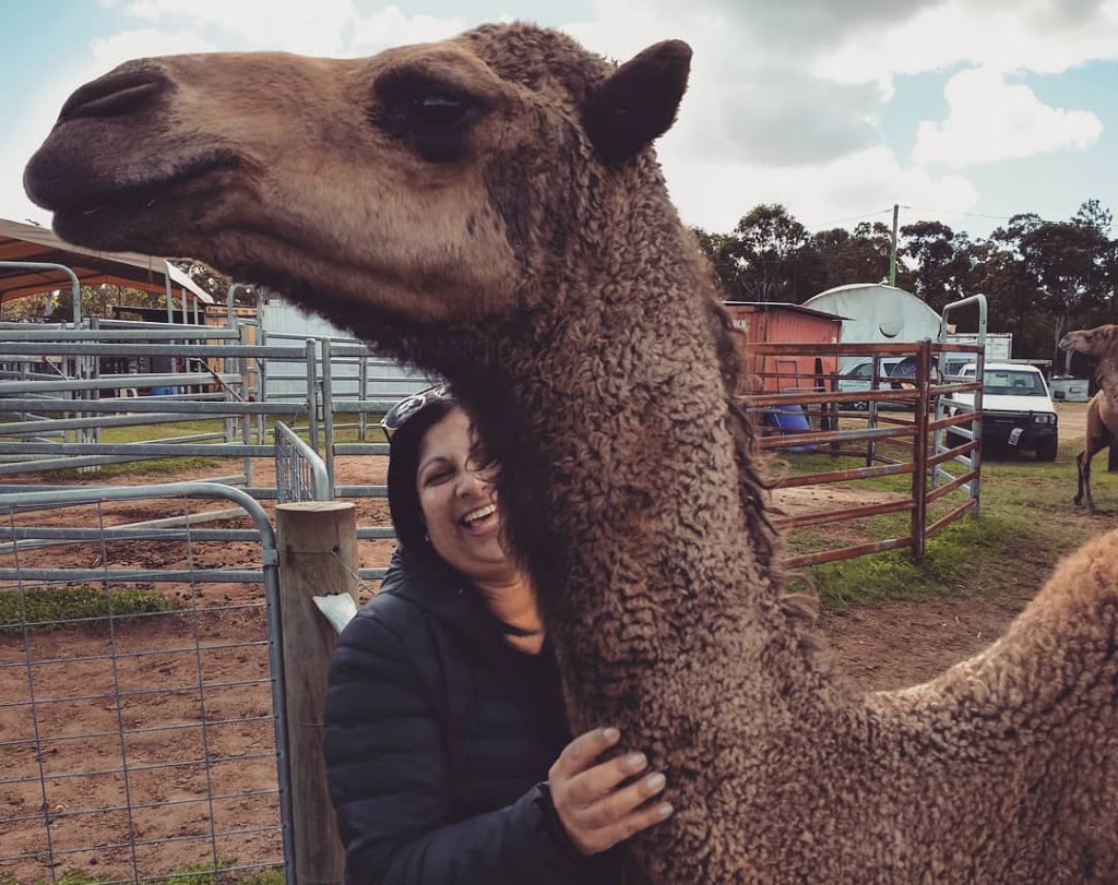 QCamel Camel Milk Dairy Office | 165 Sahara Rd, Glass House Mountains QLD 4518, Australia | Phone: (07) 5438 7890