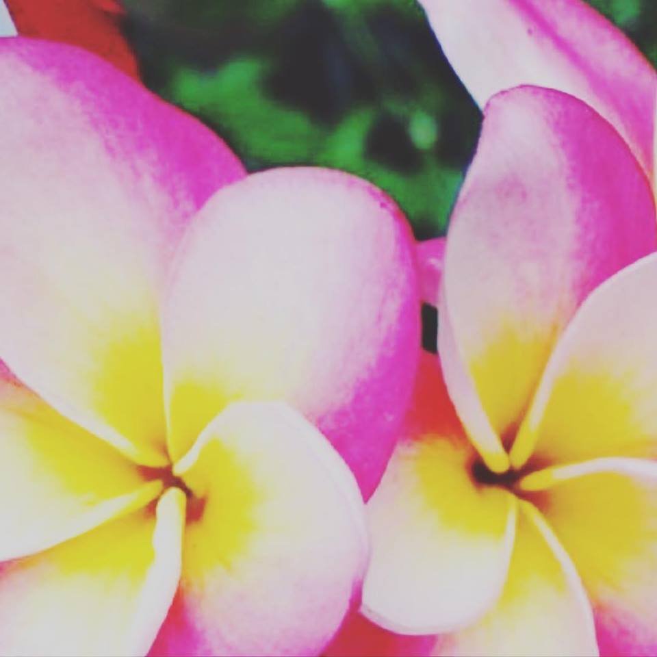Jennifer Laasanen Wellness Therapies | 3 Inlet Dr, Tweed Heads West NSW 2485, Australia | Phone: 0413 748 506