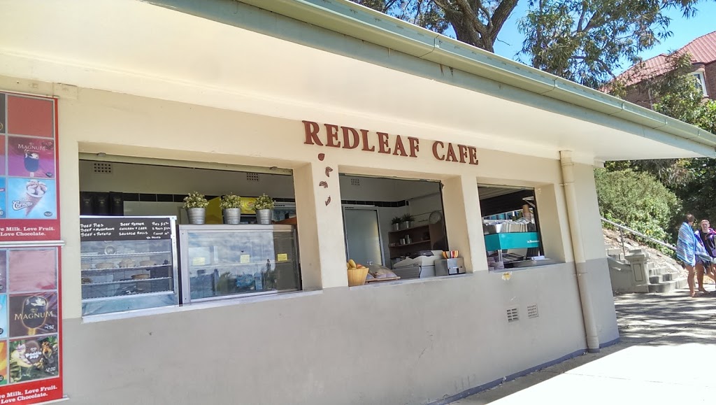 Redleaf Cafe | cafe | 536 New South Head Rd, Double Bay NSW 2028, Australia | 0293278813 OR +61 2 9327 8813