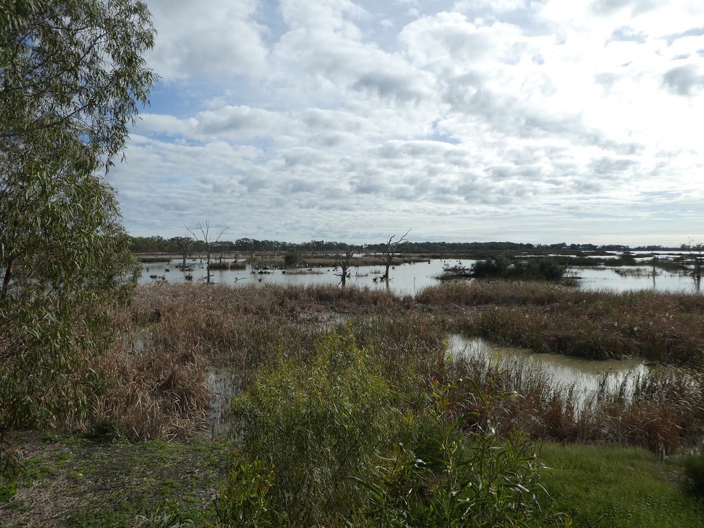 Ibis Rookery, Middle Reedy Lake | park | 132 Pratt Rd, Reedy Lake VIC 3579, Australia