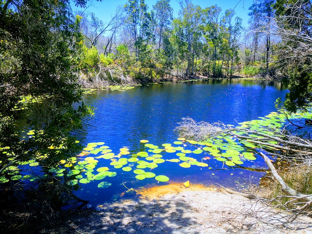 Limeburners Creek National Park | park | Point Plomer Rd, Limeburners Creek NSW 2444, Australia | 1300072757 OR +61 1300 072 757