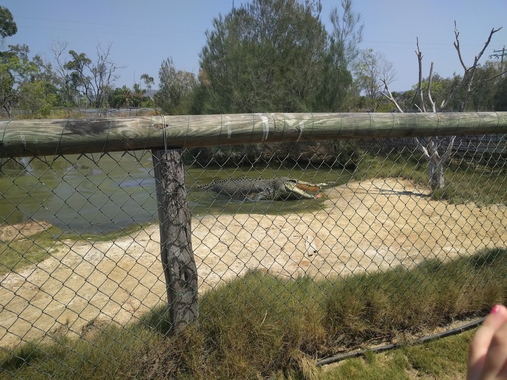 Koorana Crocodile Farm | tourist attraction | 65 Savages Rd, Coowonga QLD 4702, Australia | 0749344749 OR +61 7 4934 4749