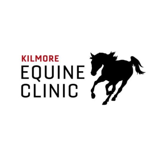 Kilmore Equine Clinic | 16B George St, Kilmore VIC 3764, Australia | Phone: (03) 5781 0163