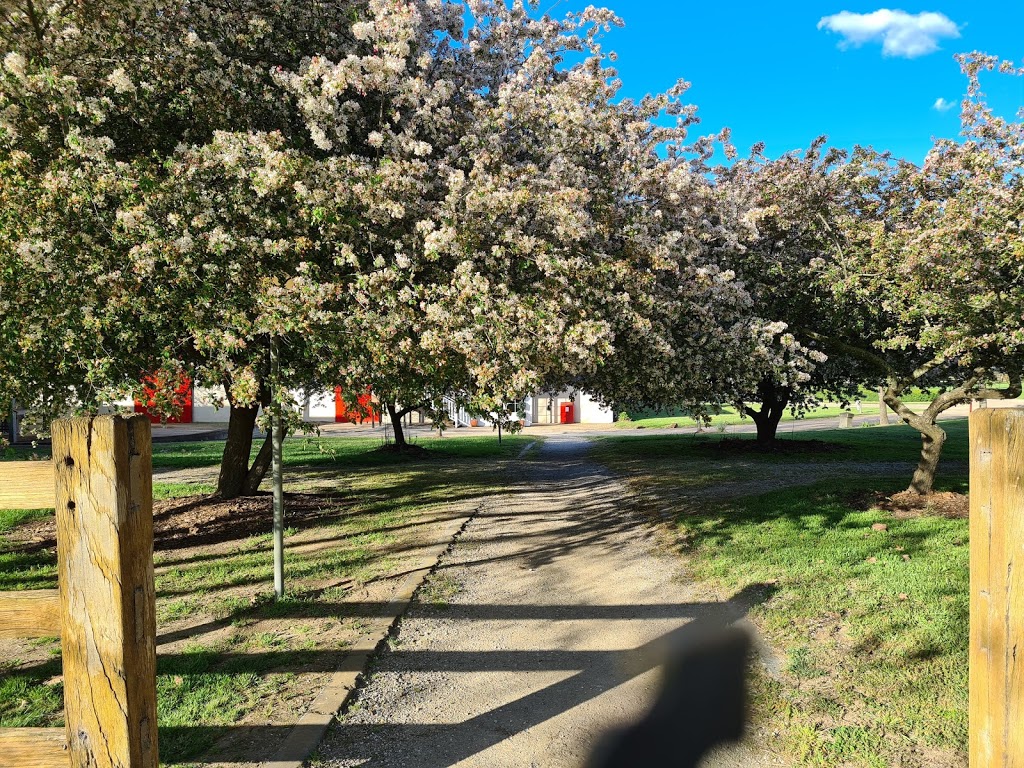 Sutton Farm Equestrian Centre | food | Sutton Farm, 7530 Illawarra Hwy, Sutton Forest NSW 2577, Australia | 0248692600 OR +61 2 4869 2600