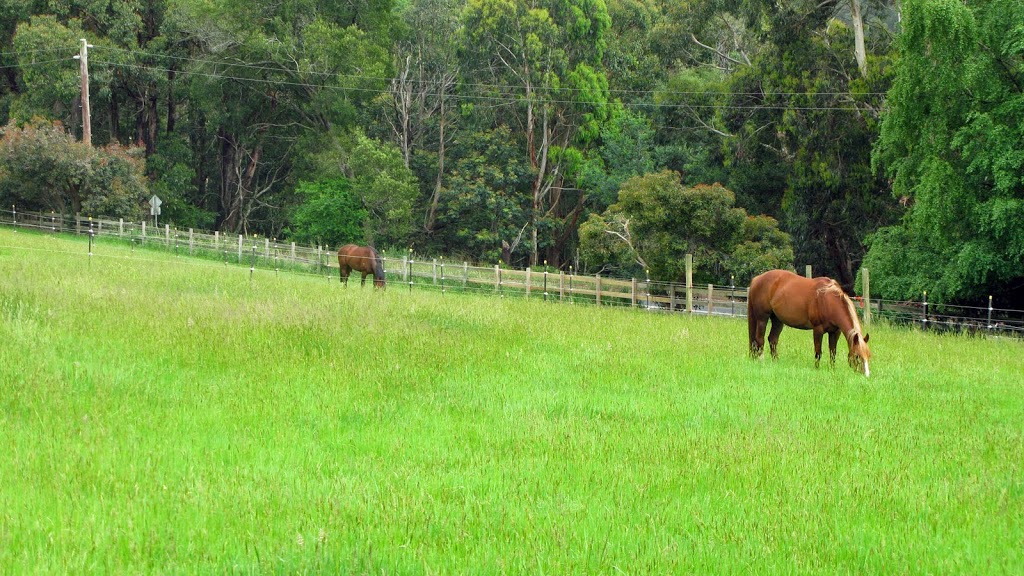 Arcadia Park | 160 Belgrave-Gembrook Rd, Selby VIC 3159, Australia | Phone: (03) 9752 5800