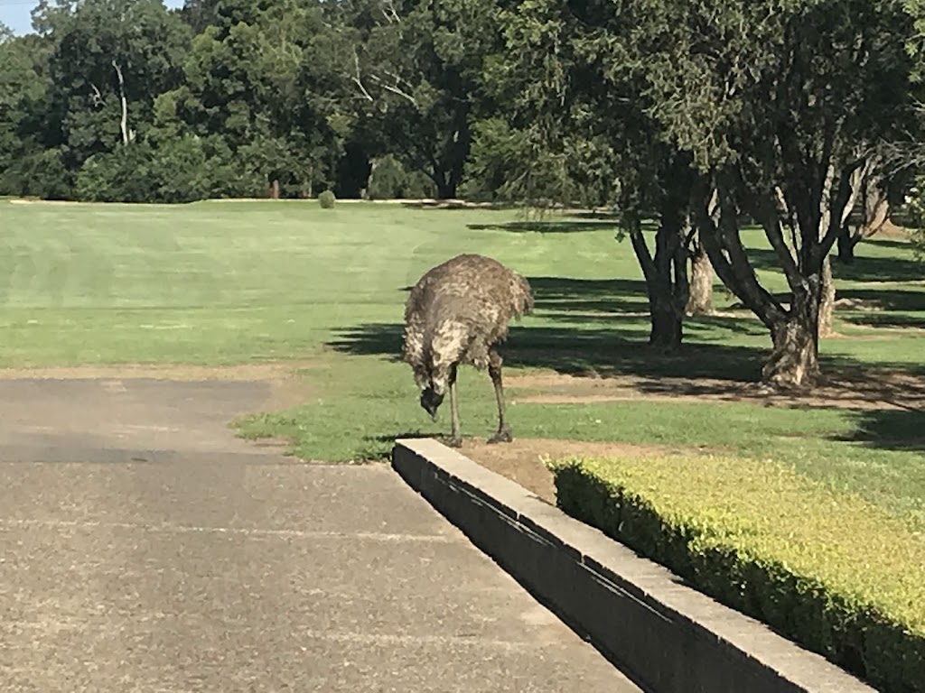 Dunheved Golf Club | 176 Links Rd, St Marys NSW 2760, Australia | Phone: (02) 9623 0239