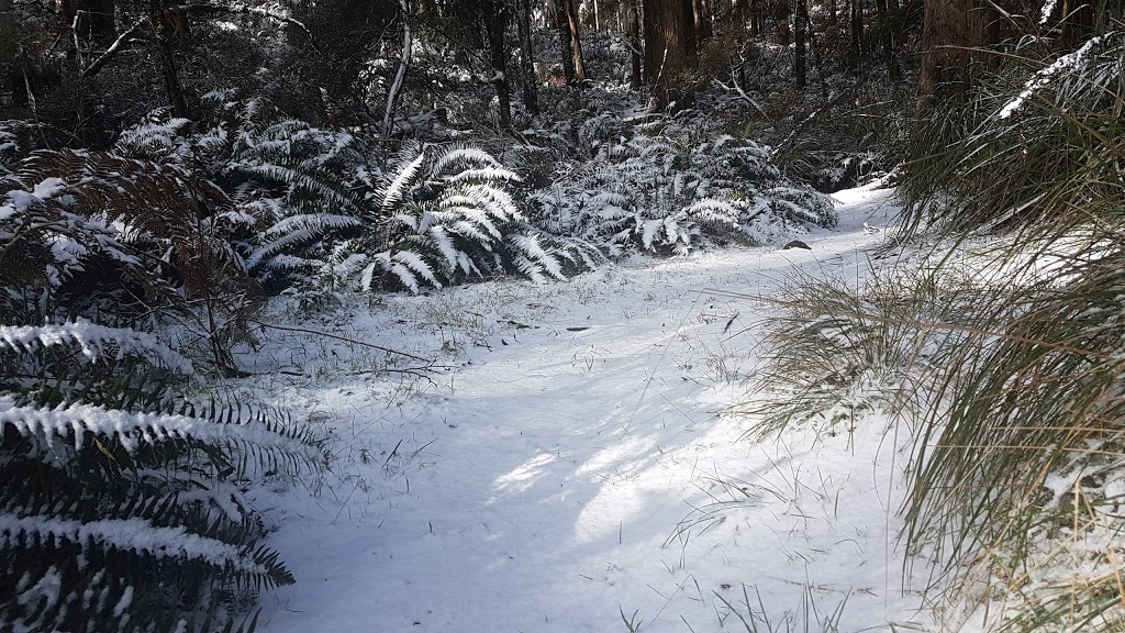 Mugwamp Hut and Campsite | campground | Mugwamp Track, Raglan VIC 3373, Australia