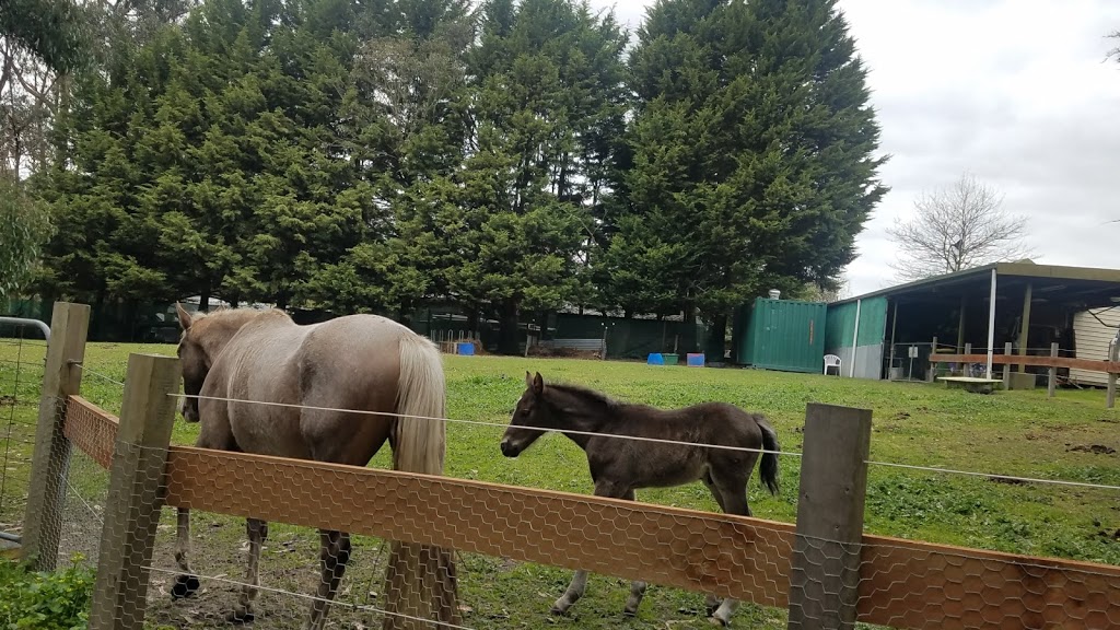 Mount Evelyn Pony Club | 176 Bailey Rd, Mount Evelyn VIC 3796, Australia | Phone: 0419 335 365