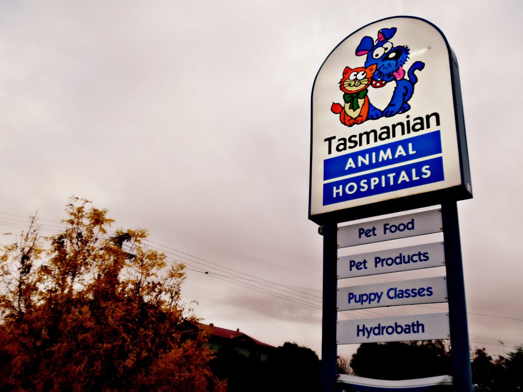Tasmanian Animal Hospitals | 29 Clarence St, Bellerive TAS 7018, Australia | Phone: (03) 6244 7667