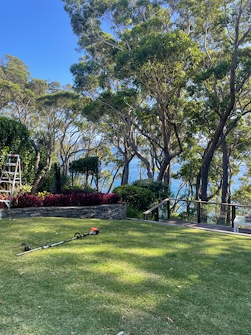 JSF Gardens | 23 Iluka Cres, Mollymook NSW 2539, Australia | Phone: 0420 936 018