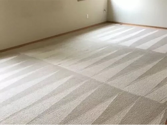 EMU Carpet Cleaning Labrador | laundry | 20 Labrador St, Labrador QLD 4215, Australia | 0742434741 OR +61 7 4243 4741