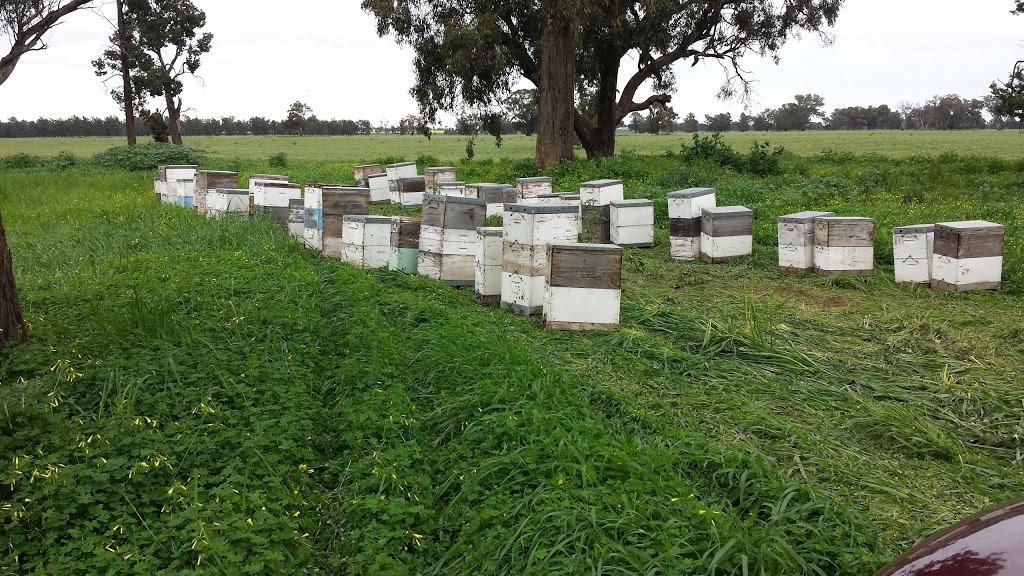 Yarrawonga Apiaries | 57 Cullens Rd, Yarrawonga VIC 3730, Australia | Phone: (03) 5744 2656