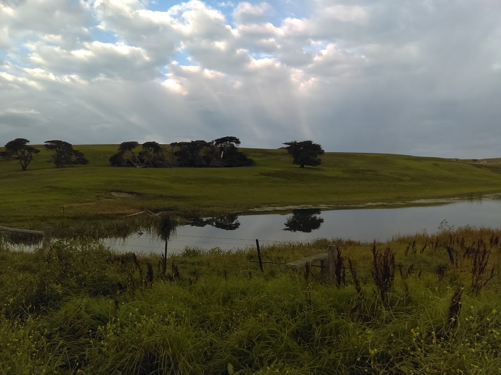 Lake Gillear Wildlife Reserve | Allansford VIC 3277, Australia