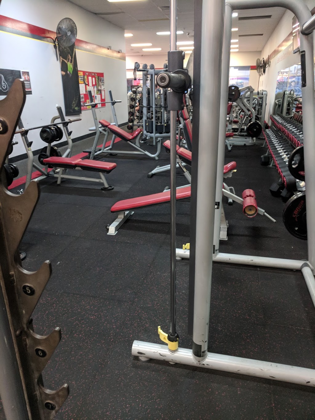 snap fitness, Kingaroy Snap Fitness | gym | Harvey Norman Centre, Unit 5/18-20 Rogers Dr, Kingaroy QLD 4610, Australia | 0404224666 OR +61 404 224 666