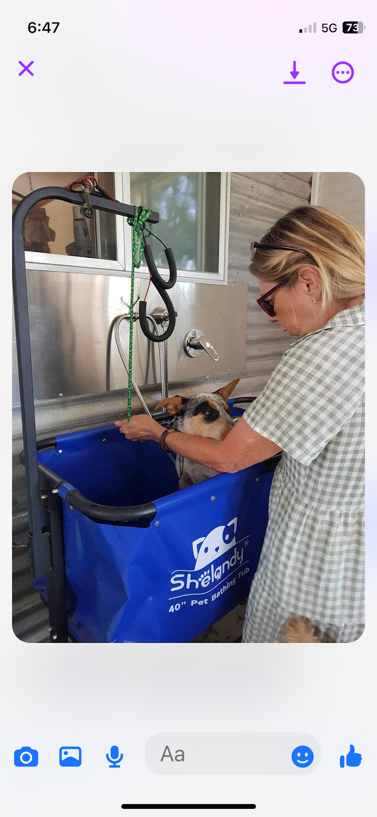 Killabakh Dog Grooming | 1626 Comboyne Rd, Killabakh NSW 2429, Australia | Phone: 0437 553 077