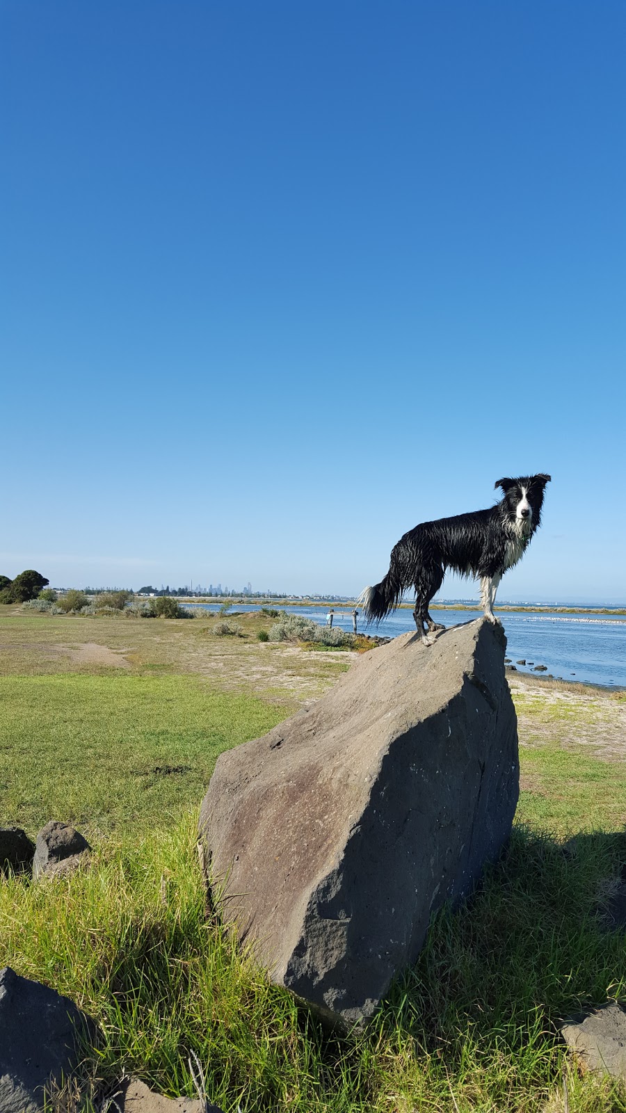 Cheetham Wetlands | Altona Meadows VIC 3028, Australia | Phone: 13 19 63