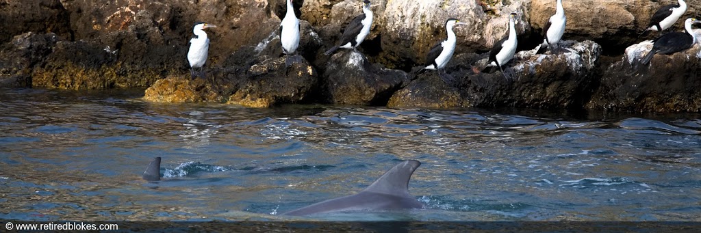 Dolphin Viewing Location Dawesville WA 6211 | park | 12 Surf View, Dawesville WA 6211, Australia