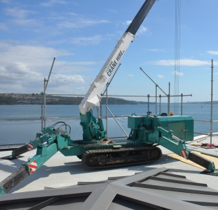SVSR Mini Crane Hire | 29 Shepherd St, Liverpool NSW 2170, Australia | Phone: 0426 811 653