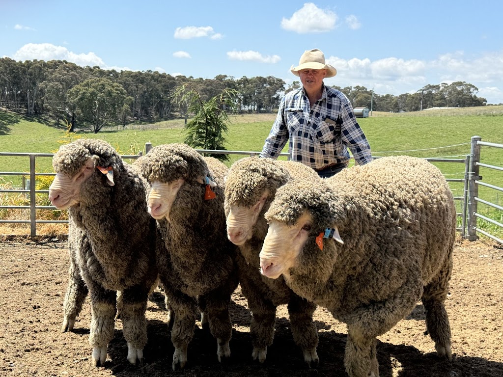 Capree Stud | 577 Caloola Rd, Newbridge NSW 2795, Australia | Phone: 0429 797 633