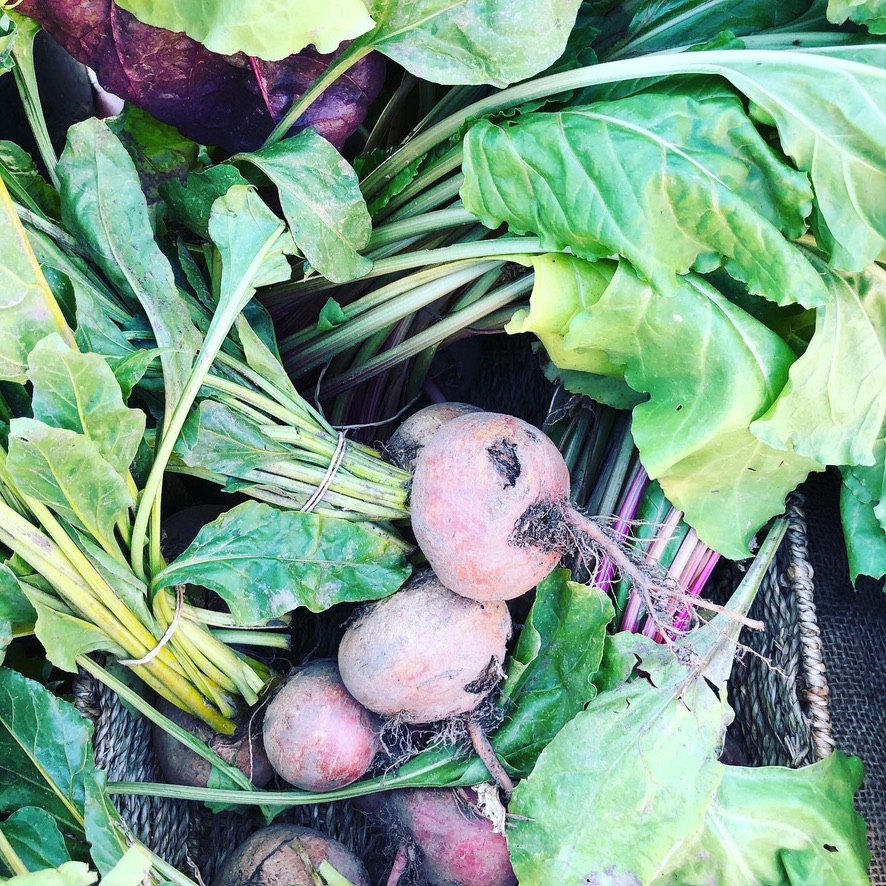 Castlemaine Farmers Market Weekly | Camp Reserve, Forest St, Castlemaine VIC 3450, Australia | Phone: 0490 366 243