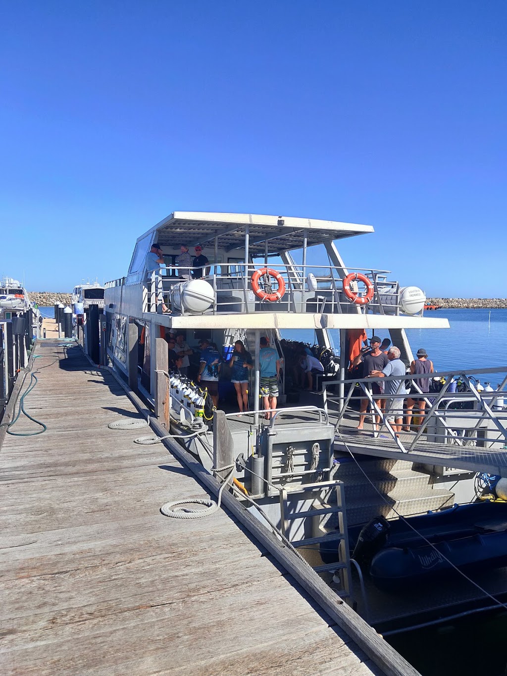 LIONFISH CHARTERS | travel agency | 8 Rous Head Rd, North Fremantle WA 6159, Australia | 0417973589 OR +61 417 973 589