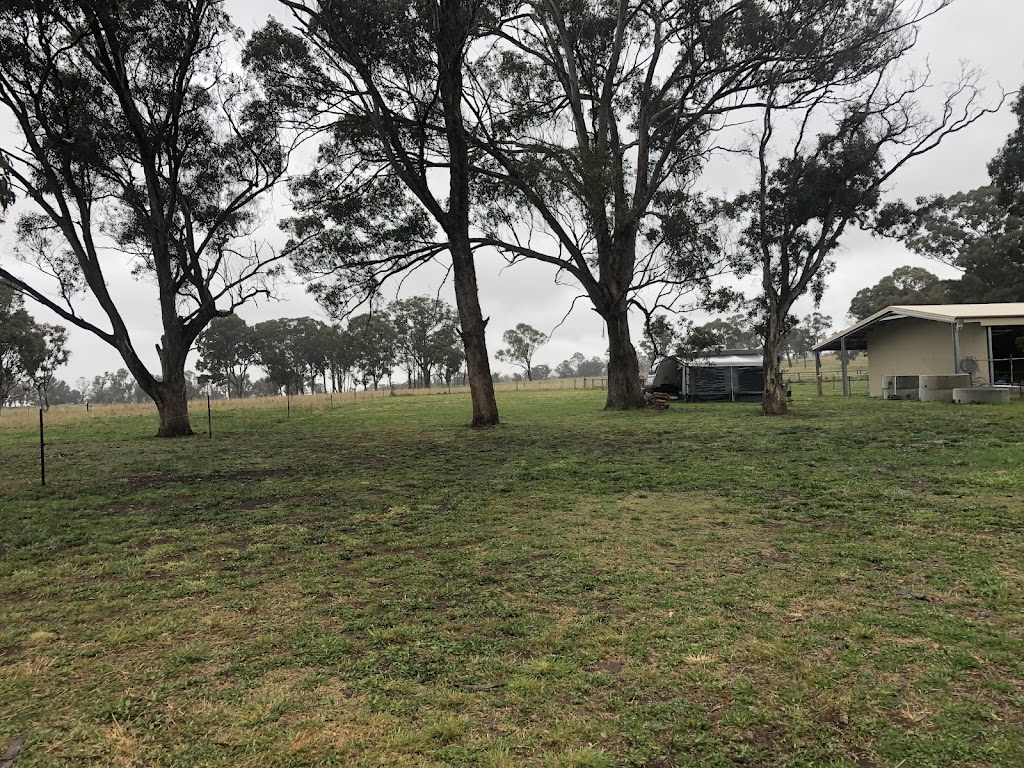 Up The Top | 8447 New England Hwy, Glencoe NSW 2365, Australia | Phone: 0419 170 581