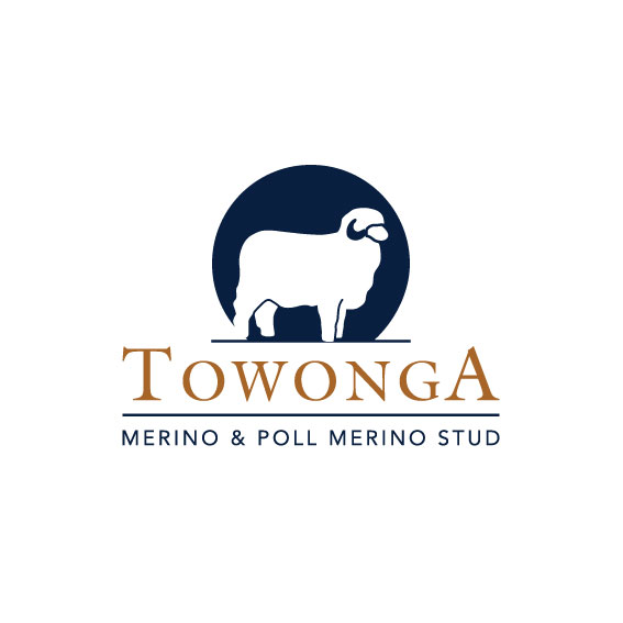 Towonga Merino & Poll Merino Stud | Owendale, 392 OLearys Ln, Peak Hill NSW 2869, Australia | Phone: 0401 461 829