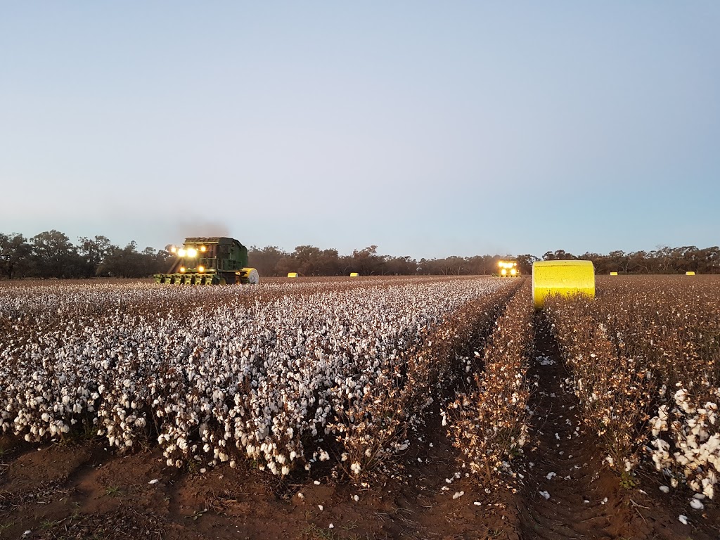 Dhillon Harvesting Services PTY. LTD. | Westbank Farm, 19 Jardines Rd, Hillston NSW 2675, Australia | Phone: 0448 671 645