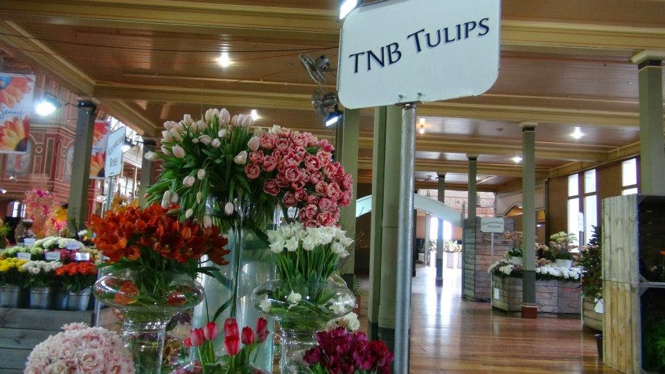 TNB TULIPS | 11 Coulson Rd, Monbulk VIC 3793, Australia | Phone: (03) 9756 6184