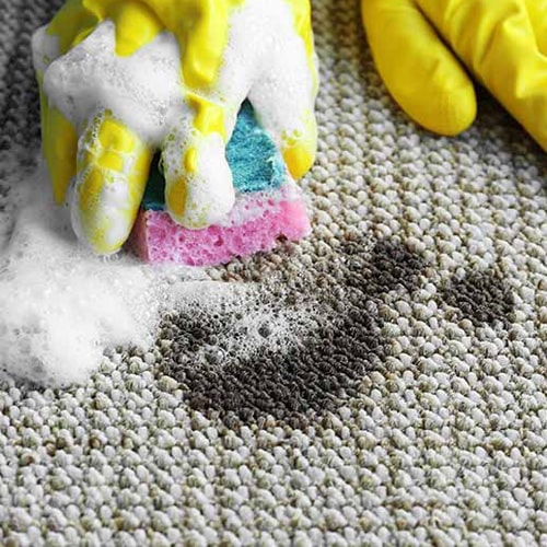 Carpet Cleaning Melbourne | travel agency | Melbourne, VIC 3000, Australia | 0390680033 OR +61 3 9068 0033
