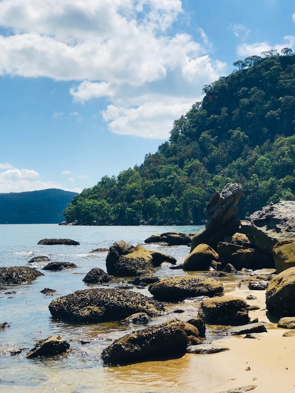 White Horse Beach | park | Ku-Ring-Gai Chase NSW 2084, Australia