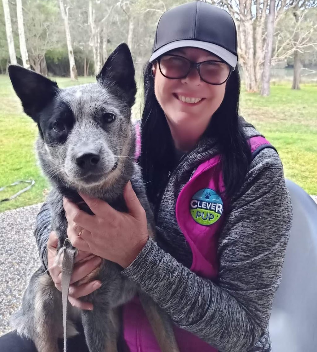 Clever Pup Dog Training, Daycare & Train plus Training Supplies | 2B Morgans Rd, Sandy Beach NSW 2456, Australia | Phone: 0412 050 279