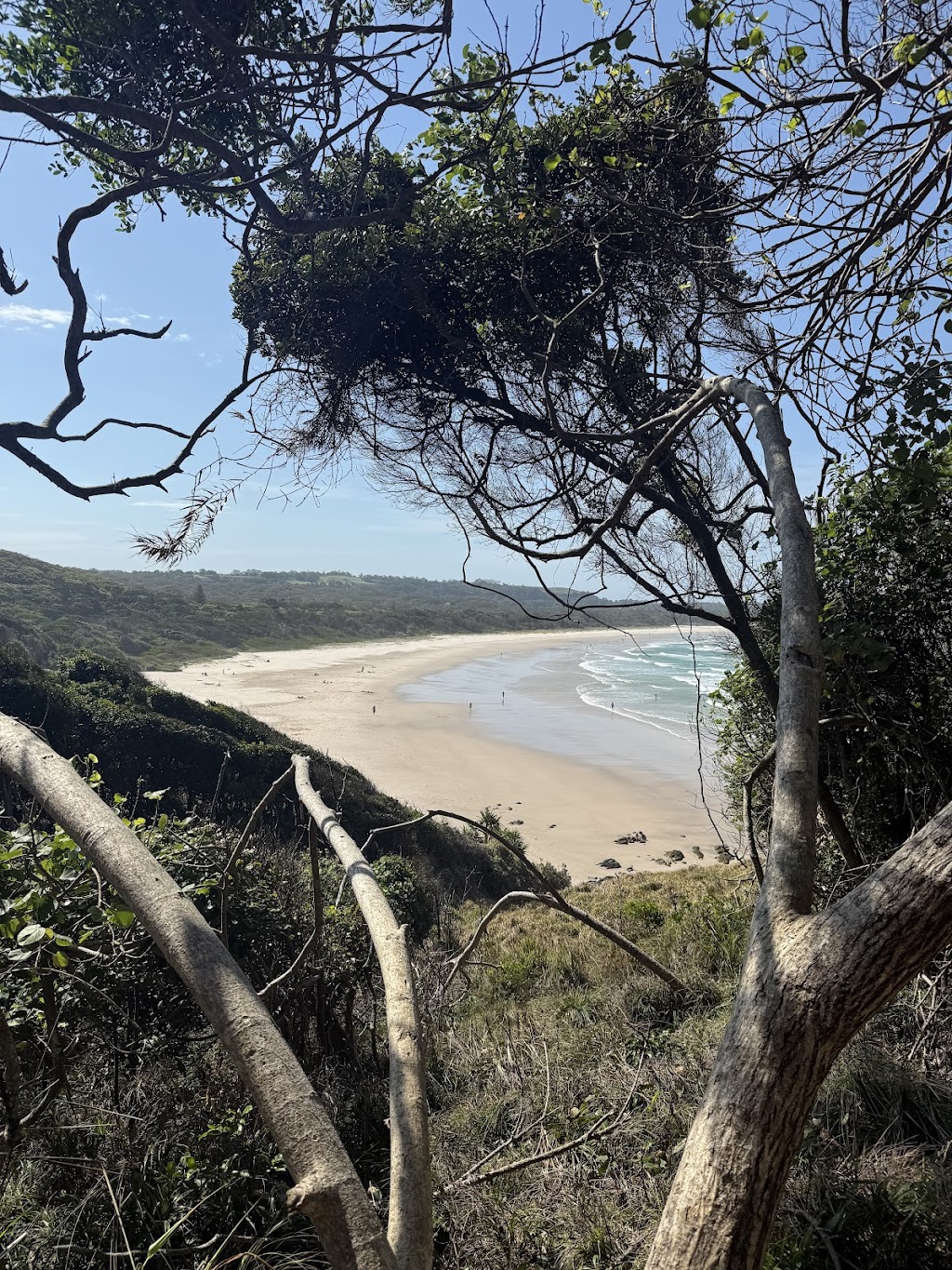 Behind the Bay | 35 Johnston Ln, Ewingsdale NSW 2481, Australia | Phone: 0425 879 039