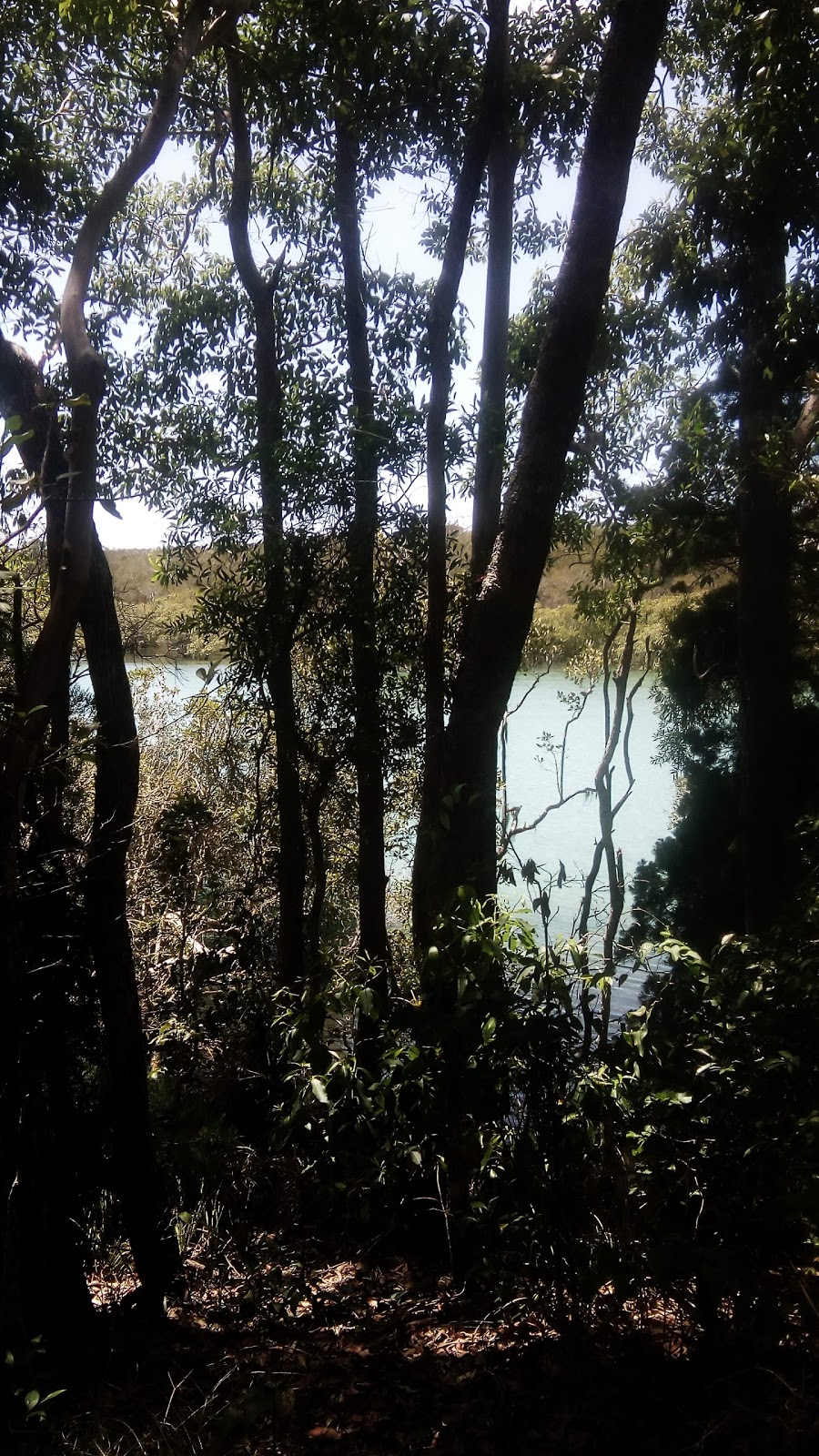 Pilgrim Memorial Reserve | Old Pacific Highway, Brunswick Heads NSW 2483, Australia