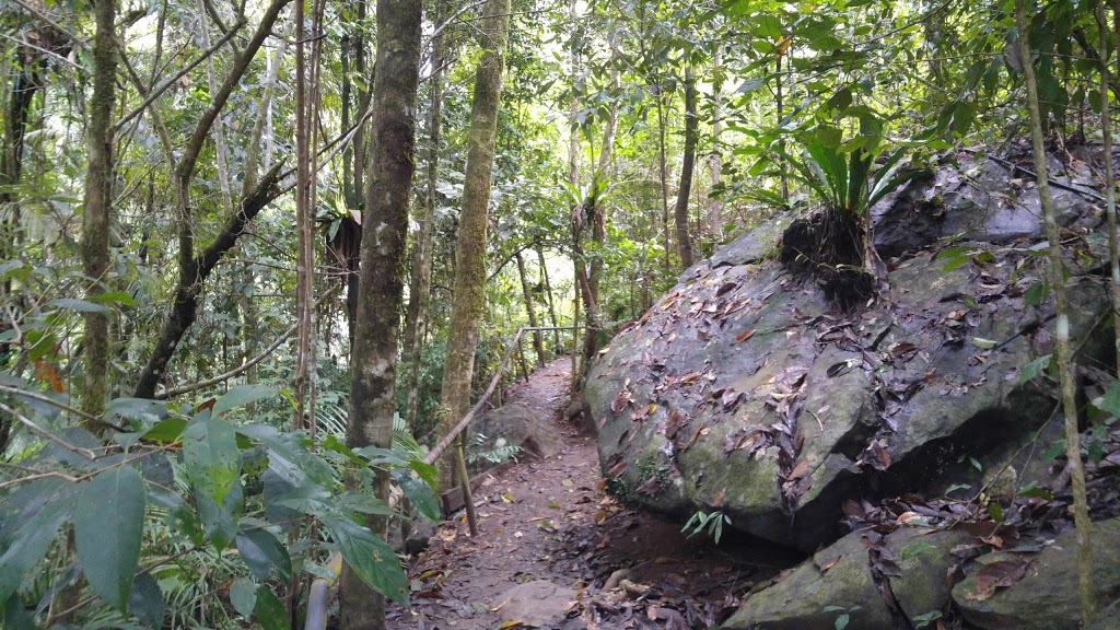 Mungalli Falls | tourist attraction | 280 Junction Rd, Millaa Millaa QLD 4886, Australia | 0740972358 OR +61 7 4097 2358