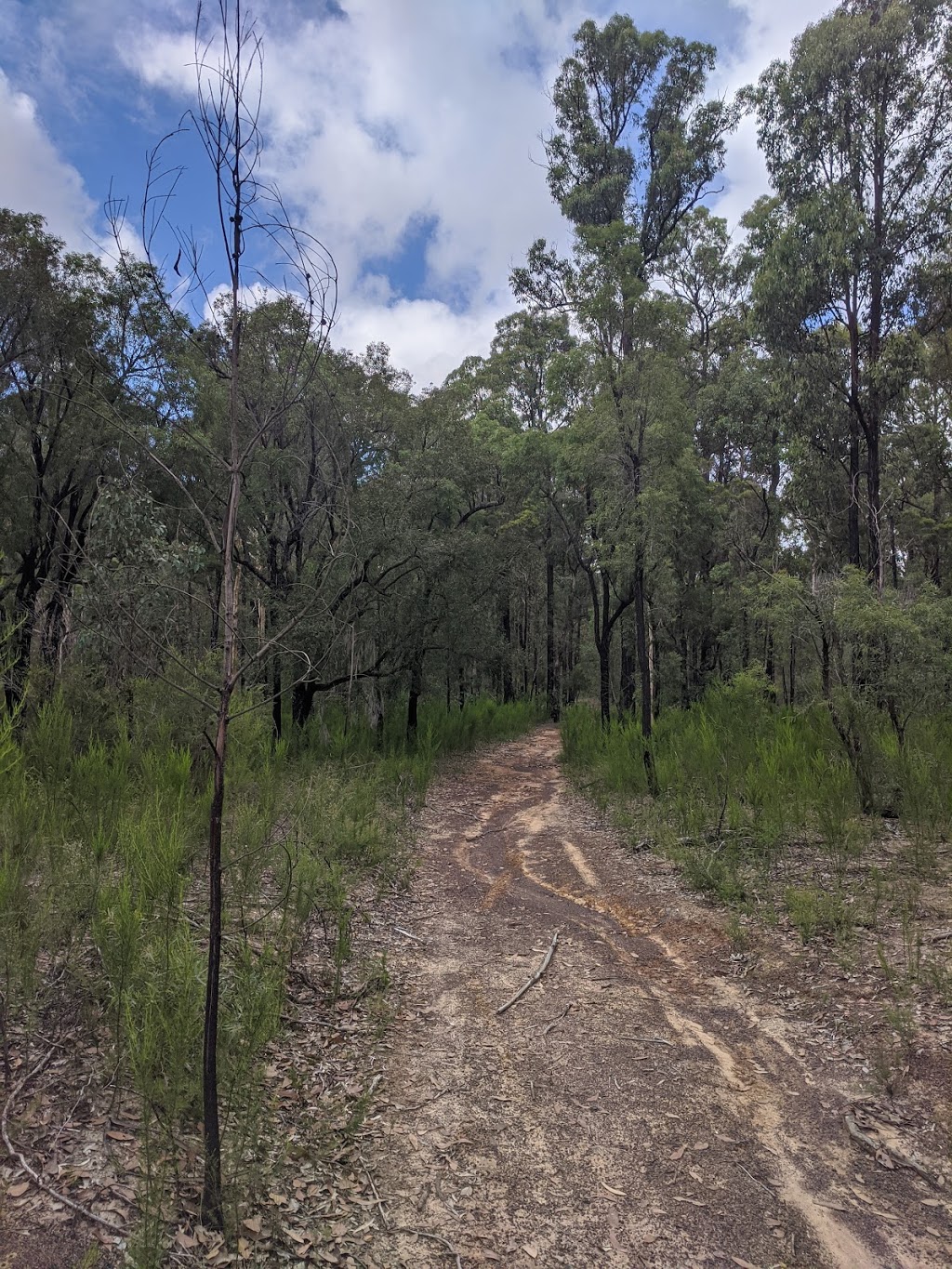 Castlereagh Nature Reserve | park | The Northern Rd, Berkshire Park NSW 2765, Australia