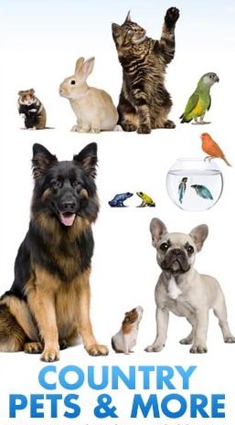 Country Pets & More | store | 36 Racecourse Rd, Whyalla Norrie SA 5608, Australia | 0886455433 OR +61 8 8645 5433