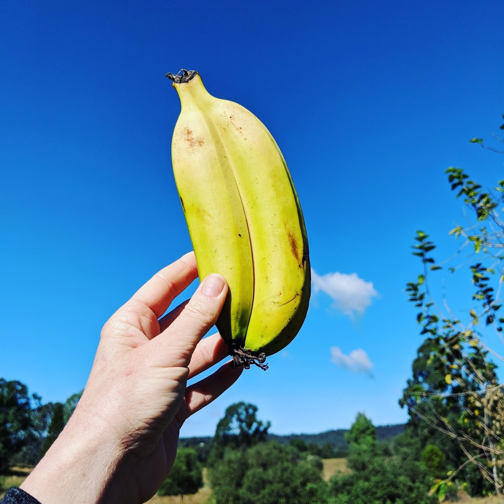 Fresh Local Provisions | 165 Basin Rd, Samsonvale QLD 4520, Australia | Phone: 0409 165 000