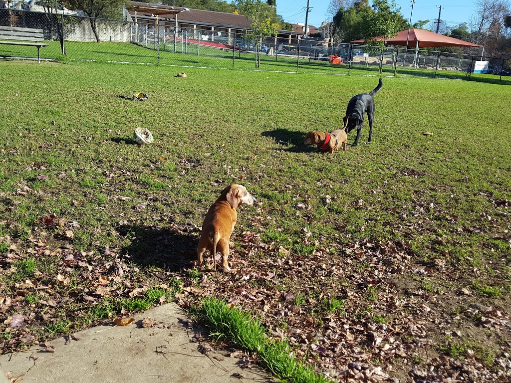 Westleigh Dog Park | park | 12 Eucalyptus Dr, Westleigh NSW 2120, Australia