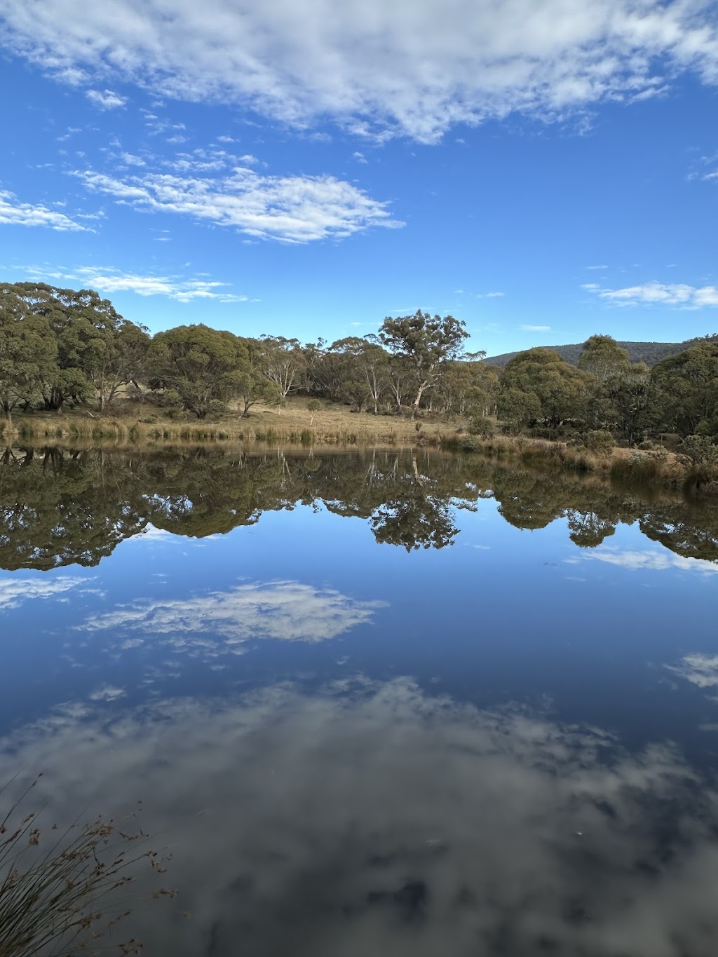 Big Yard Farm Snowy Mountains | 696 Big Yard Rd, Moonbah NSW 2627, Australia | Phone: 0425 318 966